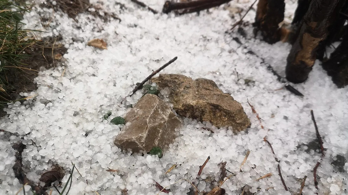 February