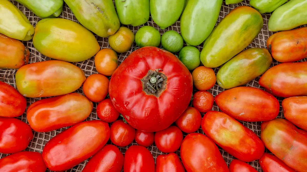 Tomatoes